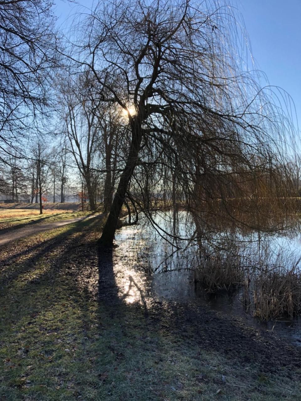 Koenig's Am Schlosspark 4*